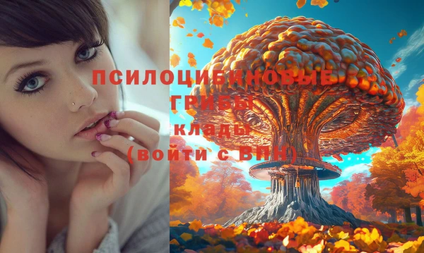 марки lsd Алексеевка