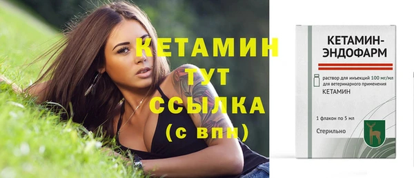 шишки Магас