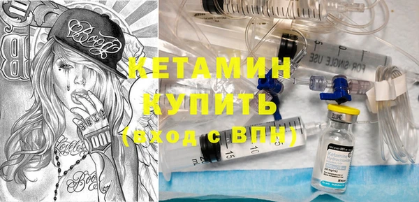 шишки Магас