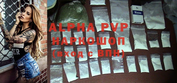 шишки Магас