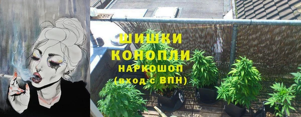 индика Магадан