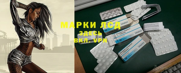 индика Магадан